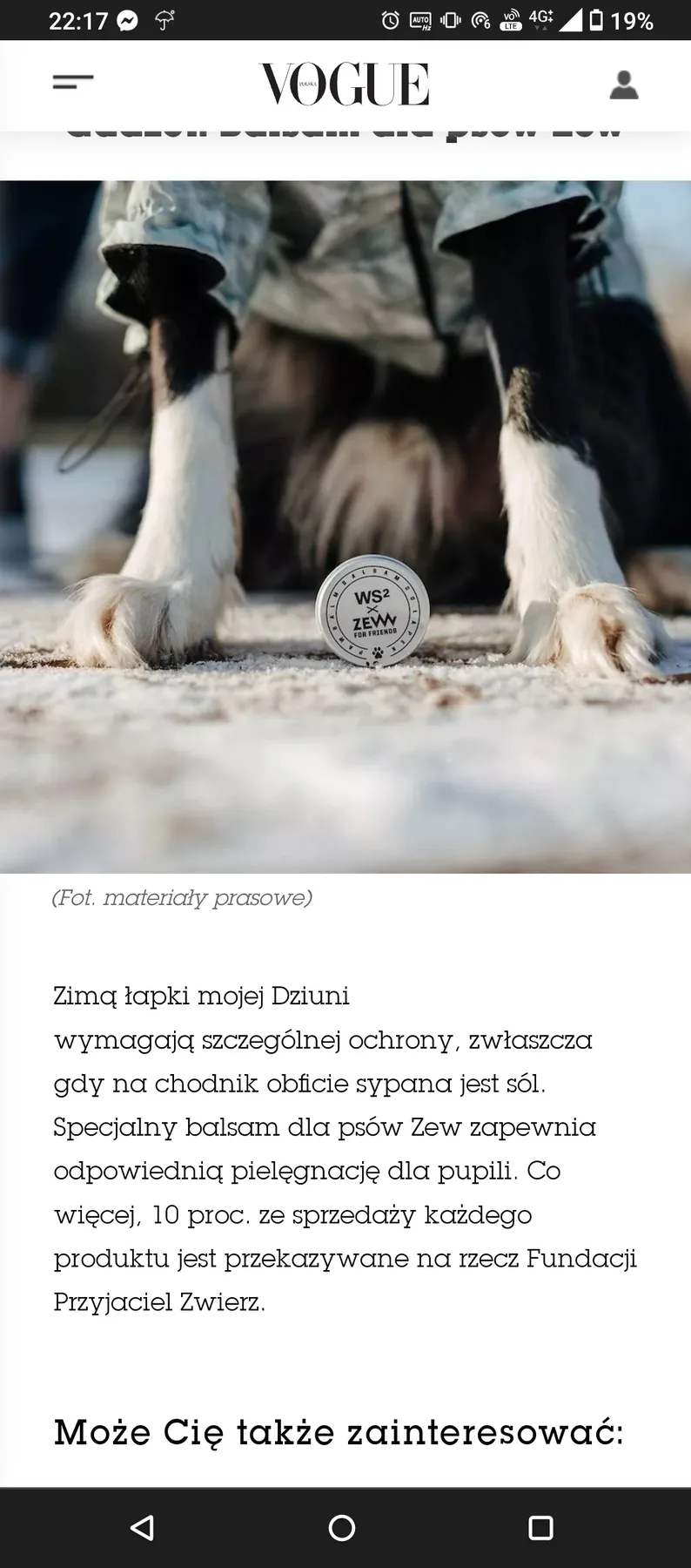 ZEW × WS2 — media / publikacja
