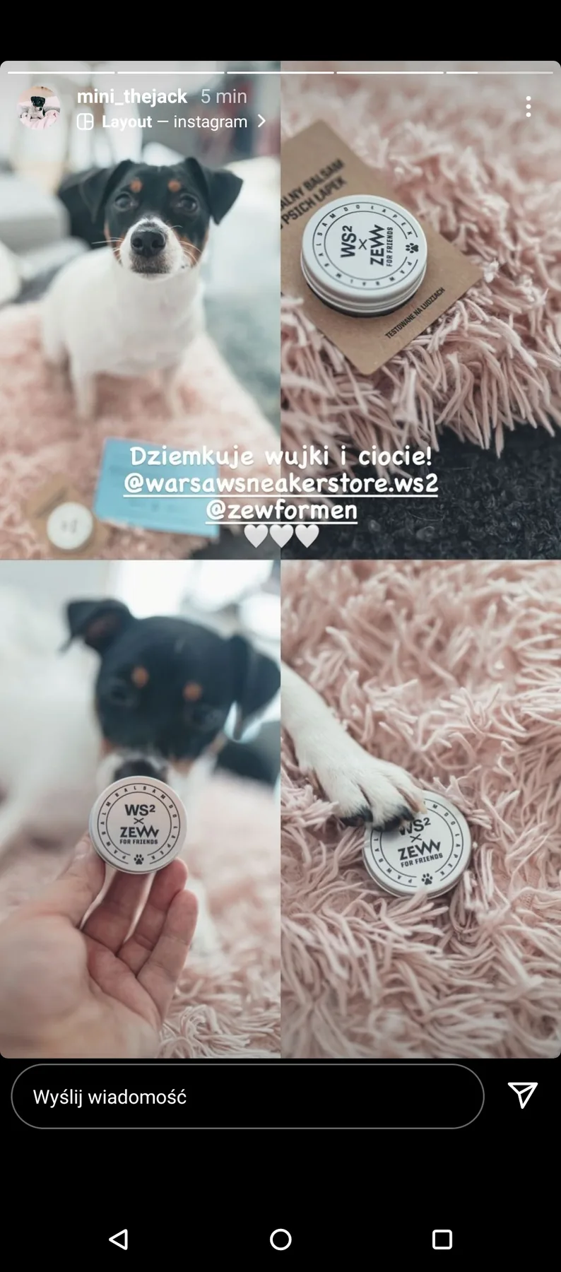 ZEW × WS2 — seeding / relacja