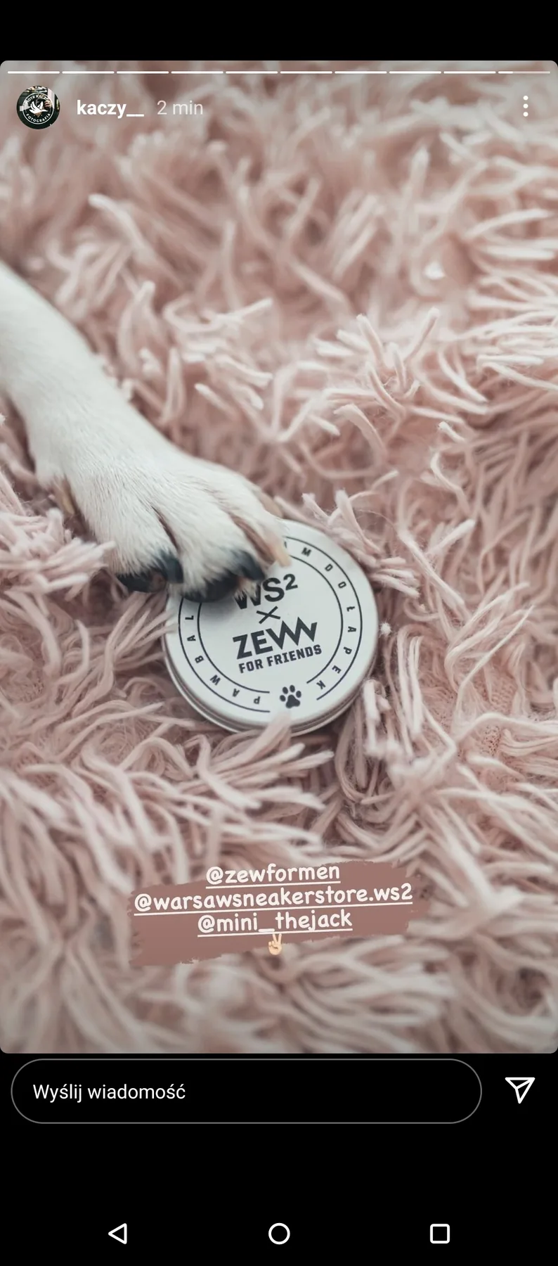 ZEW × WS2 — produkt / publikacja odbiorcy